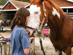 new_spirit_farm_horses4