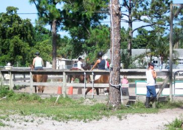 new_spirit_farm_horses19