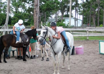 new_spirit_farm_horses23