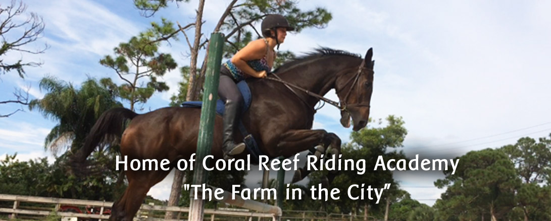 coral_reef_riding_florida