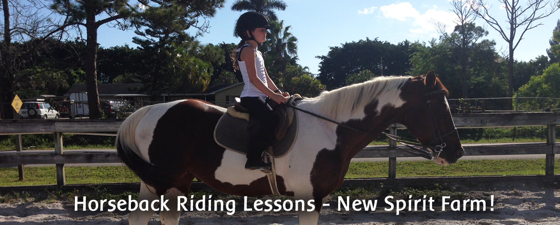 coral_reef_riding_florida