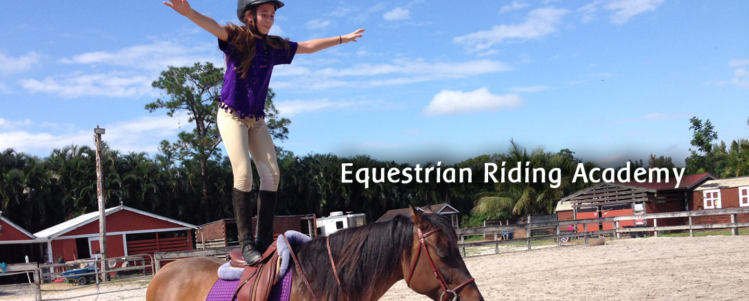 equestrian riding academy